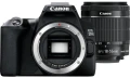 250D 18-55 DC III.jpg