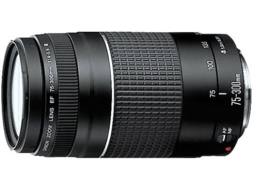 Canon EF 75-300 III.jpg